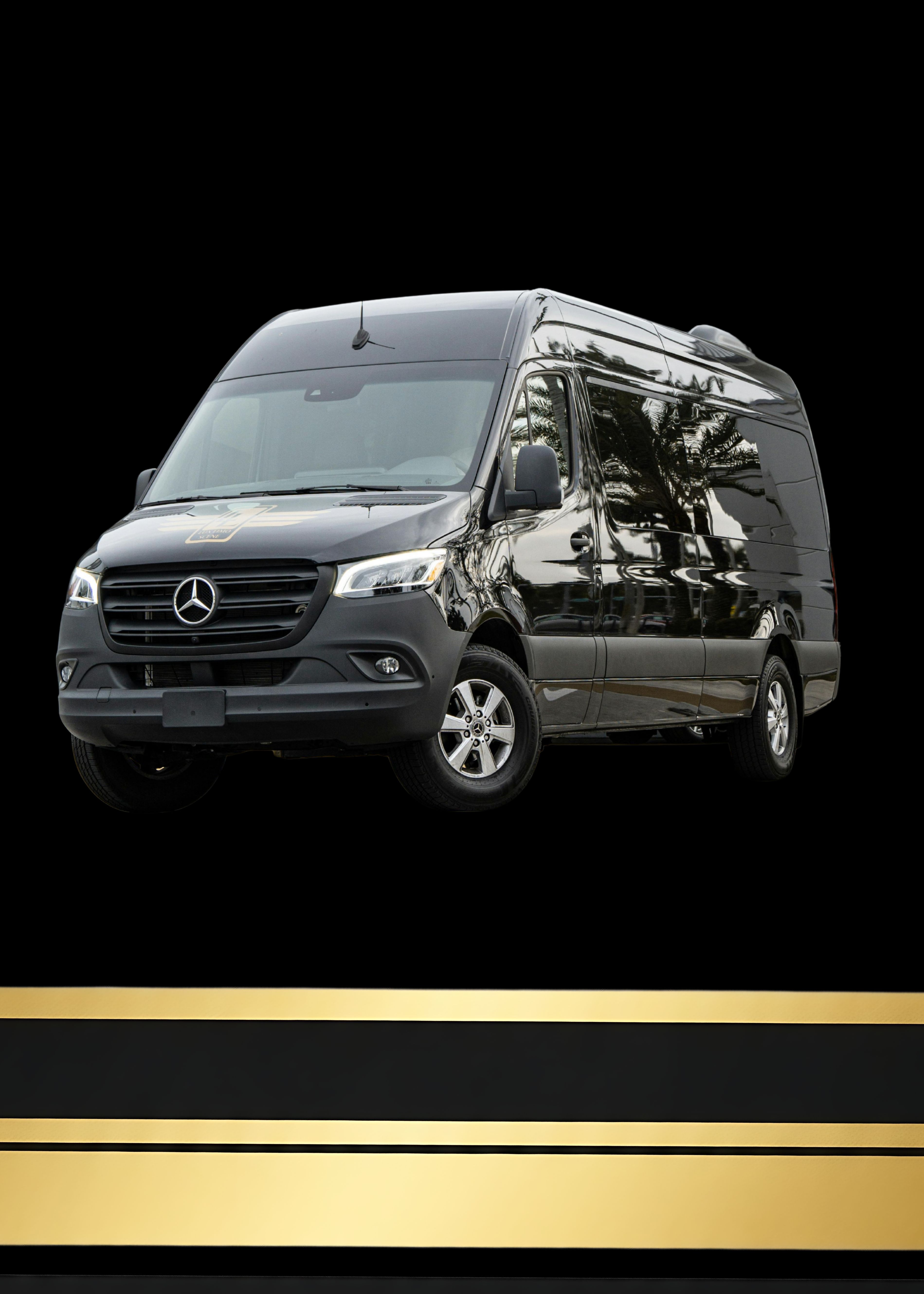 Mercedes-Benz Sprinter 2500 mobile med spa van